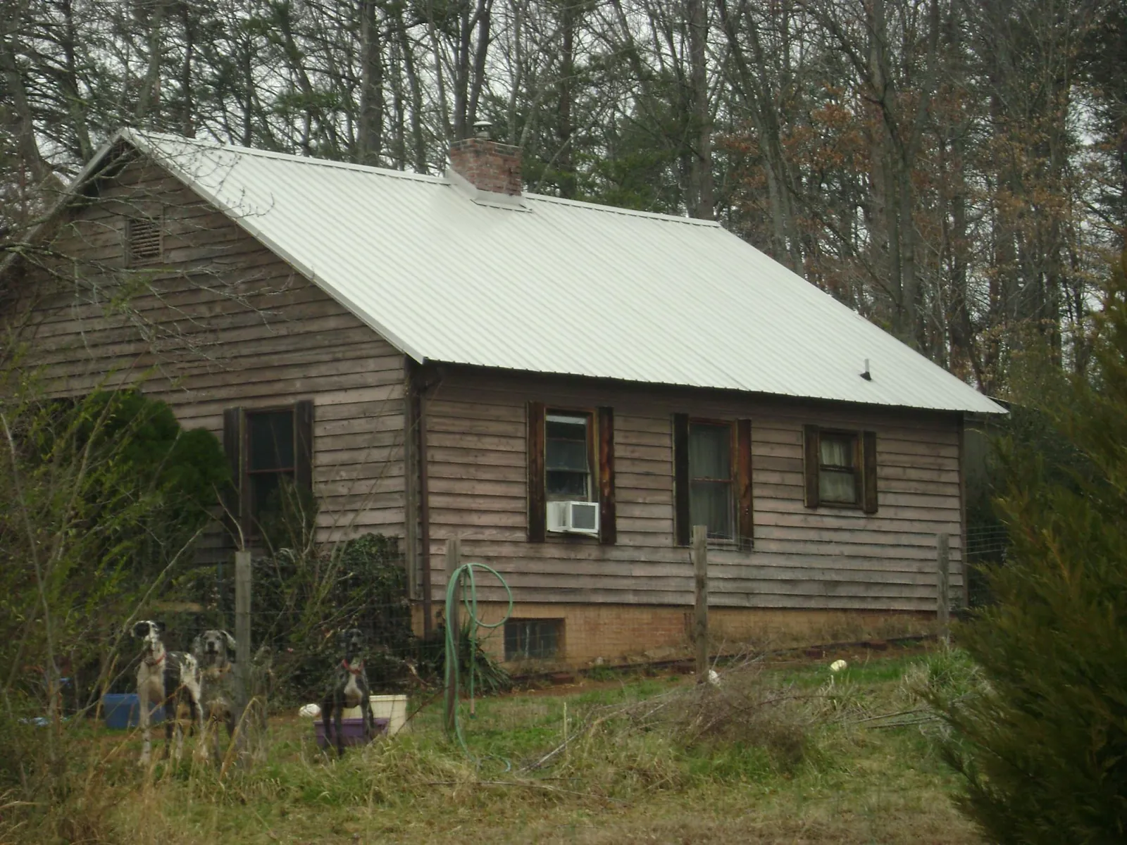 White metal roof on an old wood sided farmhouse, from a Asphalt Shingle Roof Repair job in Quinlan